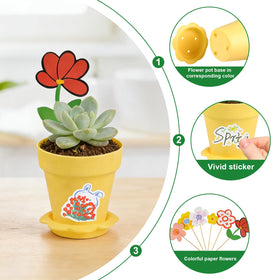 letesult cupcake pot purple supports compact succulent growth