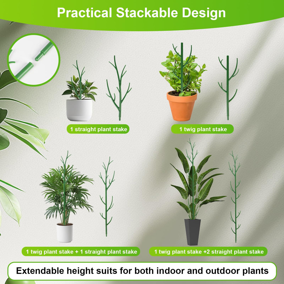letesult green indoor plant stakes in use support foliage.