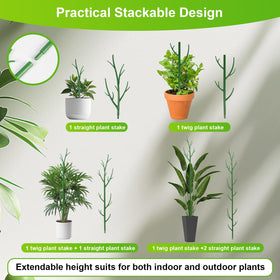 letesult green indoor plant stakes in use support foliage.