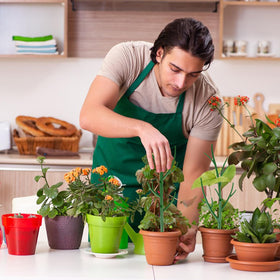 letesult twist ties with cutter secure stems and vines.