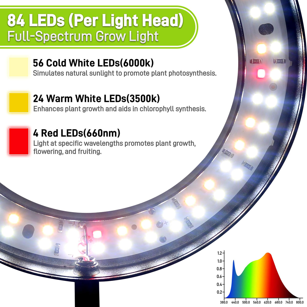 LETKEYS dimmable lighting for precise intensity across growth stages