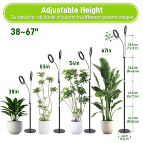 LETKEYS height-adjustable stand for seedlings to mature plants