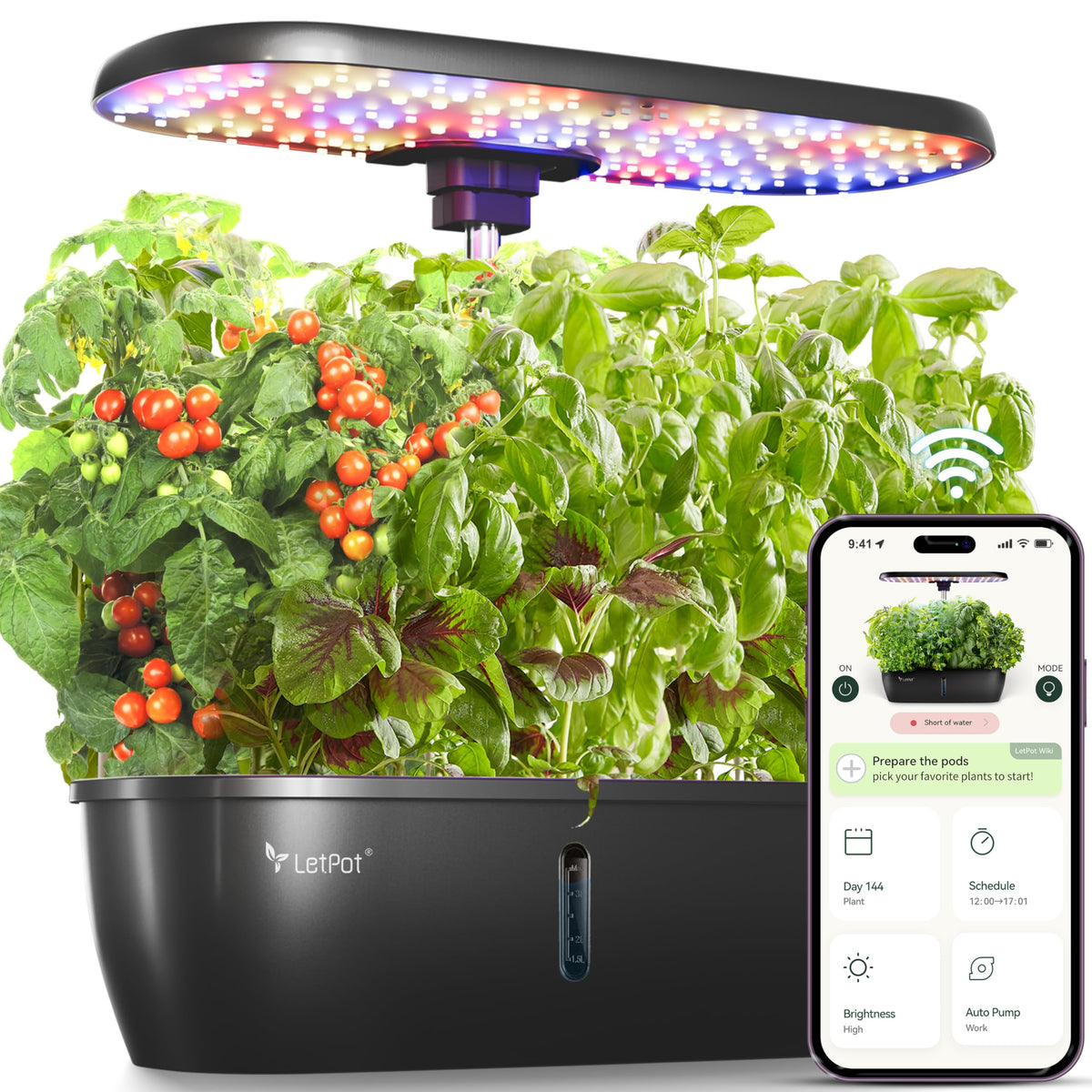LETPOT LPH-Lite front view of compact indoor garden on countertop