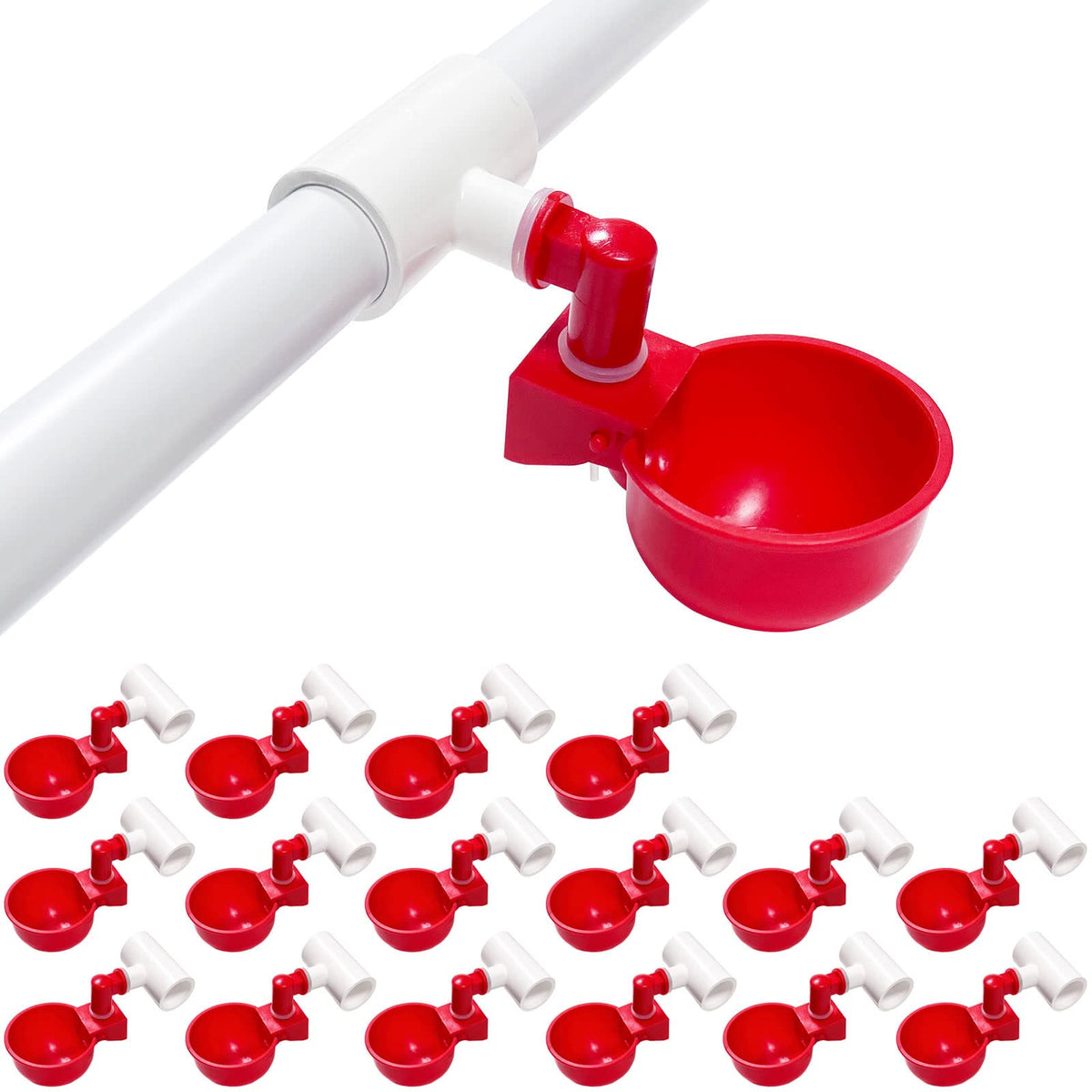 letsFix chicken water cups with PVC tee for a clean, leak-free coop.