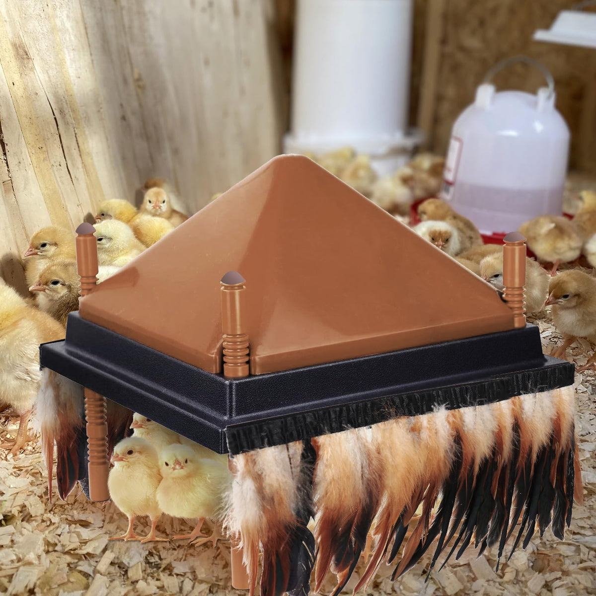 Lettry compatible with most brooders, offering flexible fit and ongoing comfort.