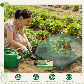 Lettry growing frame keeps fruit off soil for easier harvest
