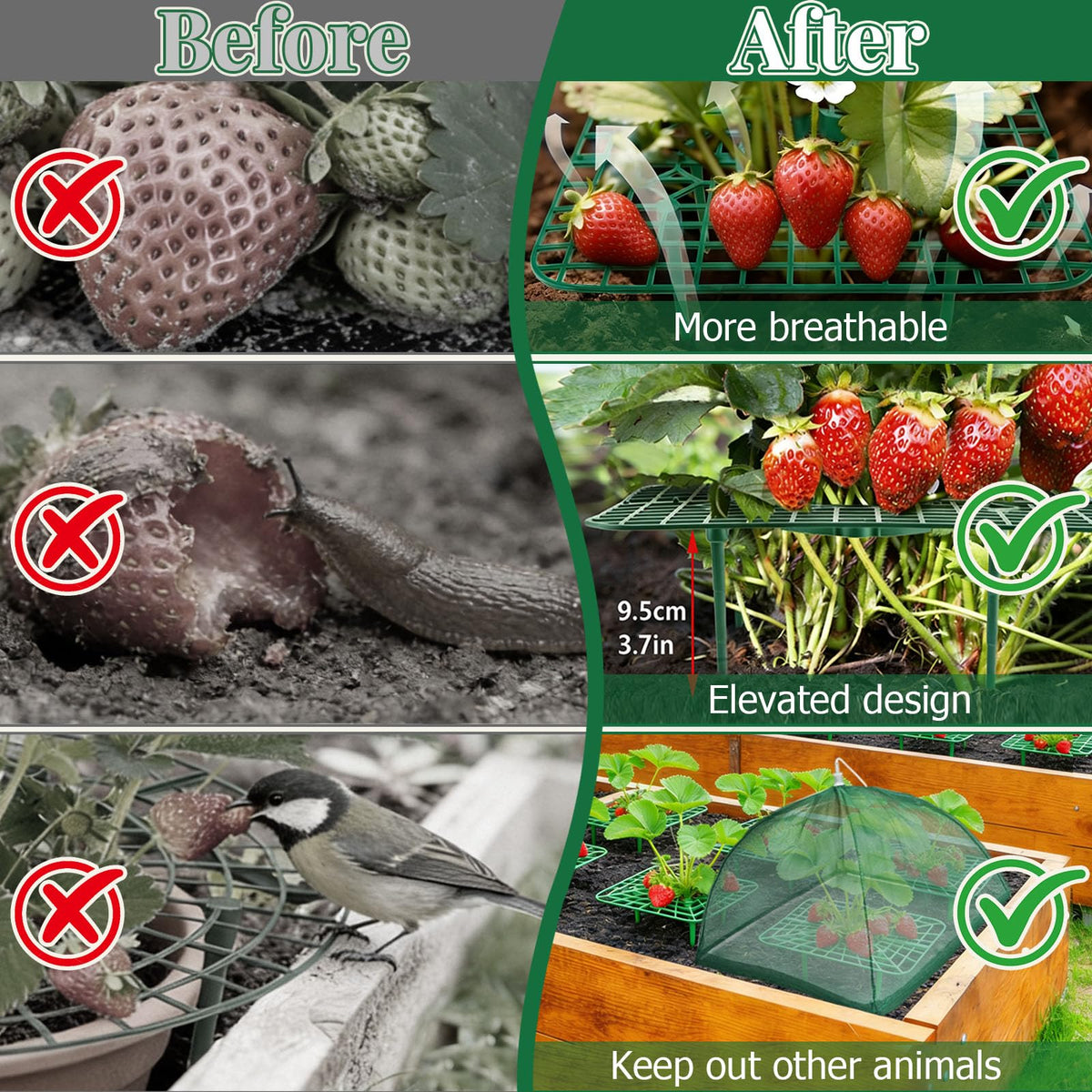 Lettry high-density mesh net shields strawberries and tomatoes from wildlife