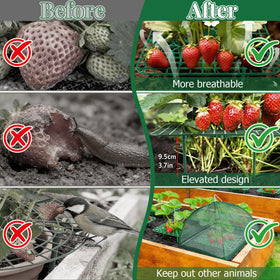 Lettry high-density mesh net shields strawberries and tomatoes from wildlife