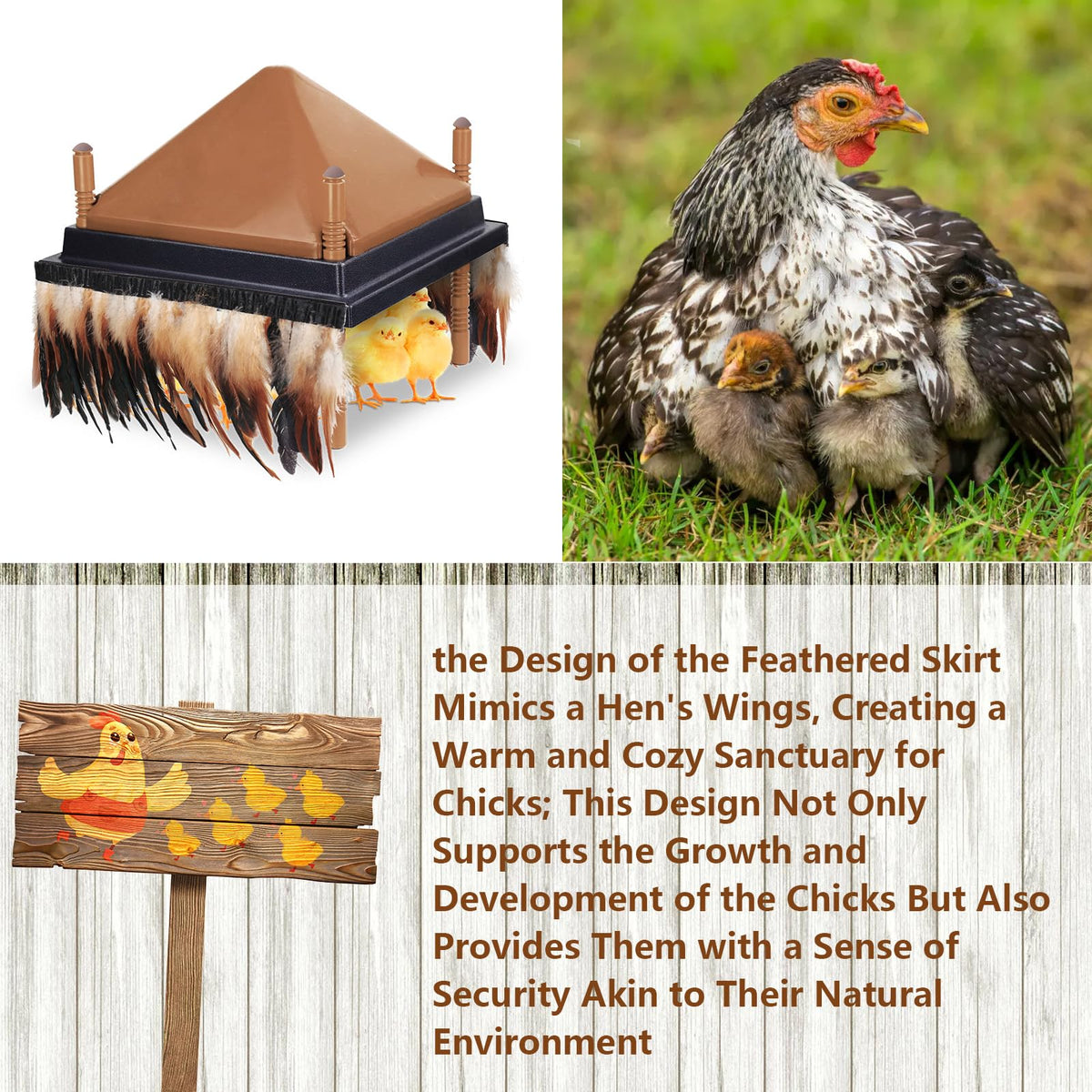 Lettry natural feathers close-up showing quality materials and gentle warmth.