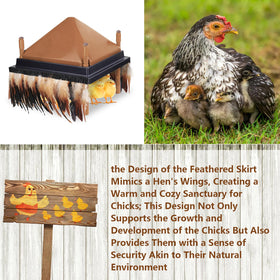 Lettry natural feathers close-up showing quality materials and gentle warmth.