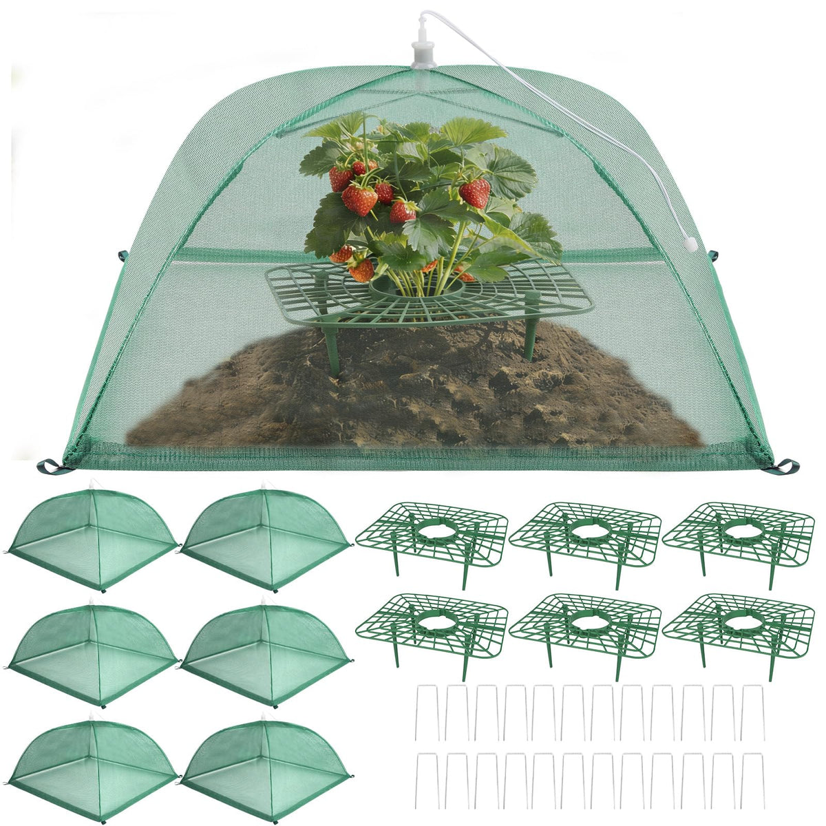 Lettry strawberry support tray elevates fruit for cleaner berries and better air flow