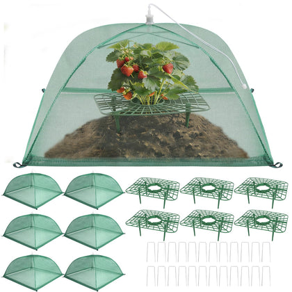 Lettry strawberry support tray elevates fruit for cleaner berries and better air flow