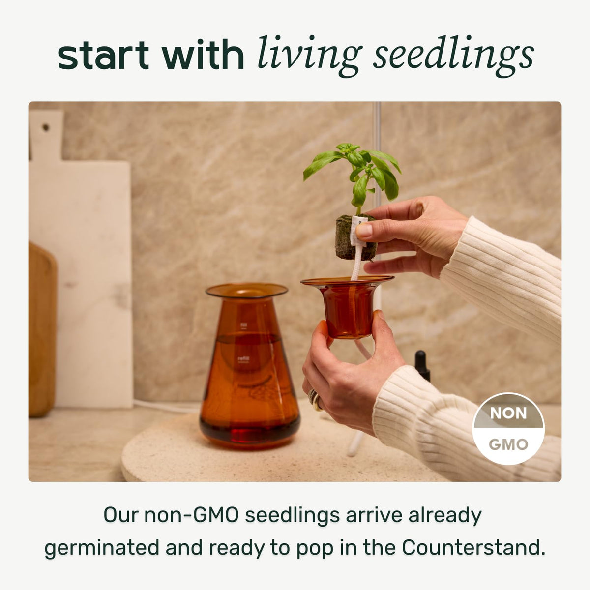 Lettuce Grow Counterstand on a kitchen countertop showcasing space-saving design.
