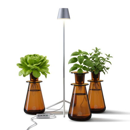 Lettuce Grow Counterstand with LED light setup for compact indoor herb growing.