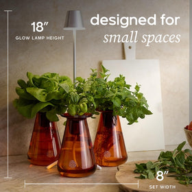 Lettuce Grow Counterstand simple seed nourishment with clearly labeled settings.