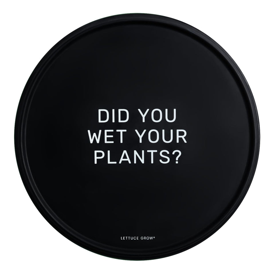 Lettuce Grow water-resistant mat under a large pot protecting floors.
