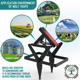 LETYANGER active mole tunnel identification guides efficient trap placement.