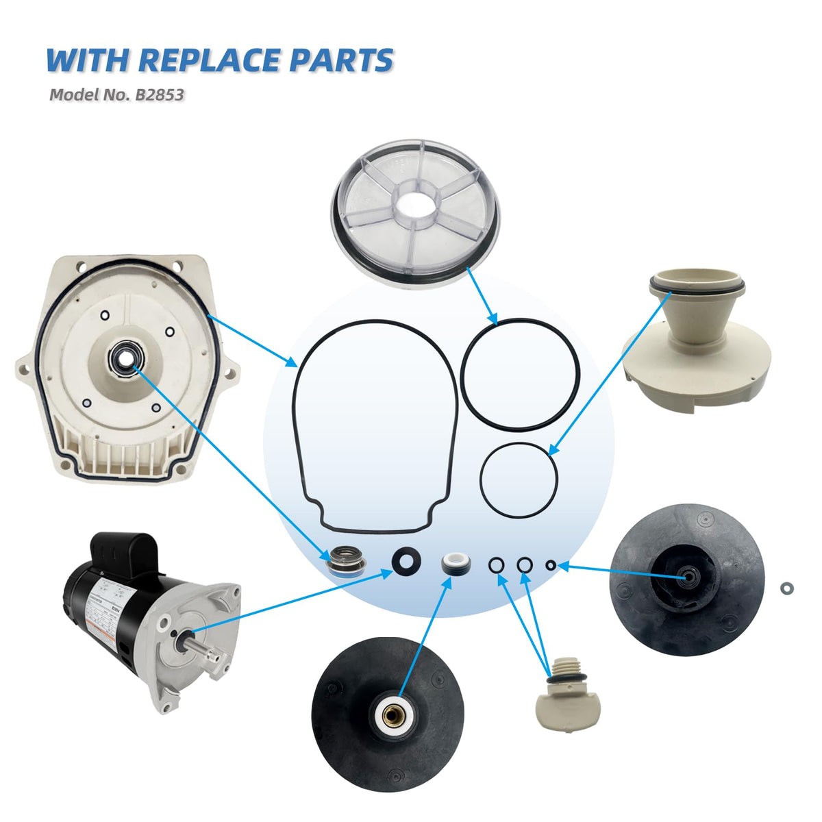 LEUNGOO B2853 installation-compatibility demonstrates compatibility with Pentair and Sta-Rite pools.