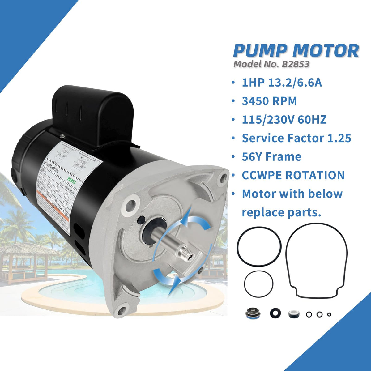 LEUNGOO B2853 label-details highlight 3450 RPM and dual voltage for versatile wiring.