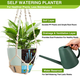 LEWESU sage-green color blends with modern decor and highlights greenery.