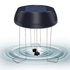 Lewisa Solar Wiggler in a sunlit birdbath attracting backyard birds