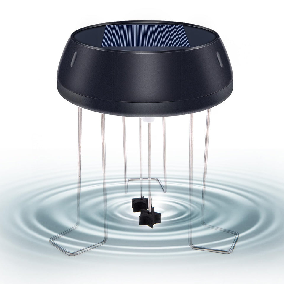 Lewisa Solar Wiggler in a sunlit birdbath attracting backyard birds