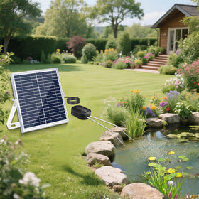 Lewisia aerator with two outlets and four stones for enhanced aeration