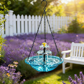 Lewisia versatile setup suits bird bath, small ponds, and decorative water circulation