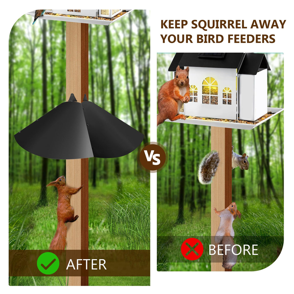 Lezcufer-bird-feeder-protection-setup prevents squirrels from reaching feeders during visits
