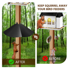 Lezcufer-bird-feeder-protection-setup prevents squirrels from reaching feeders during visits