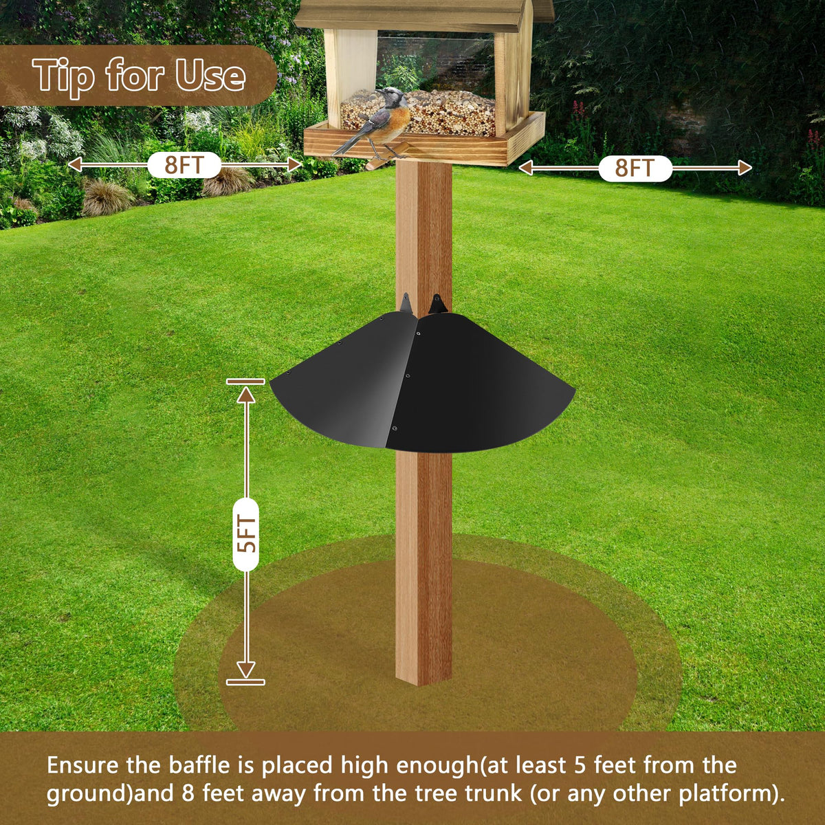 Lezcufer-squirrel-proof-tips-open-space guides placement for optimal deterrence
