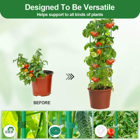 Lezmarket cages in a raised garden bed support vertical growth.
