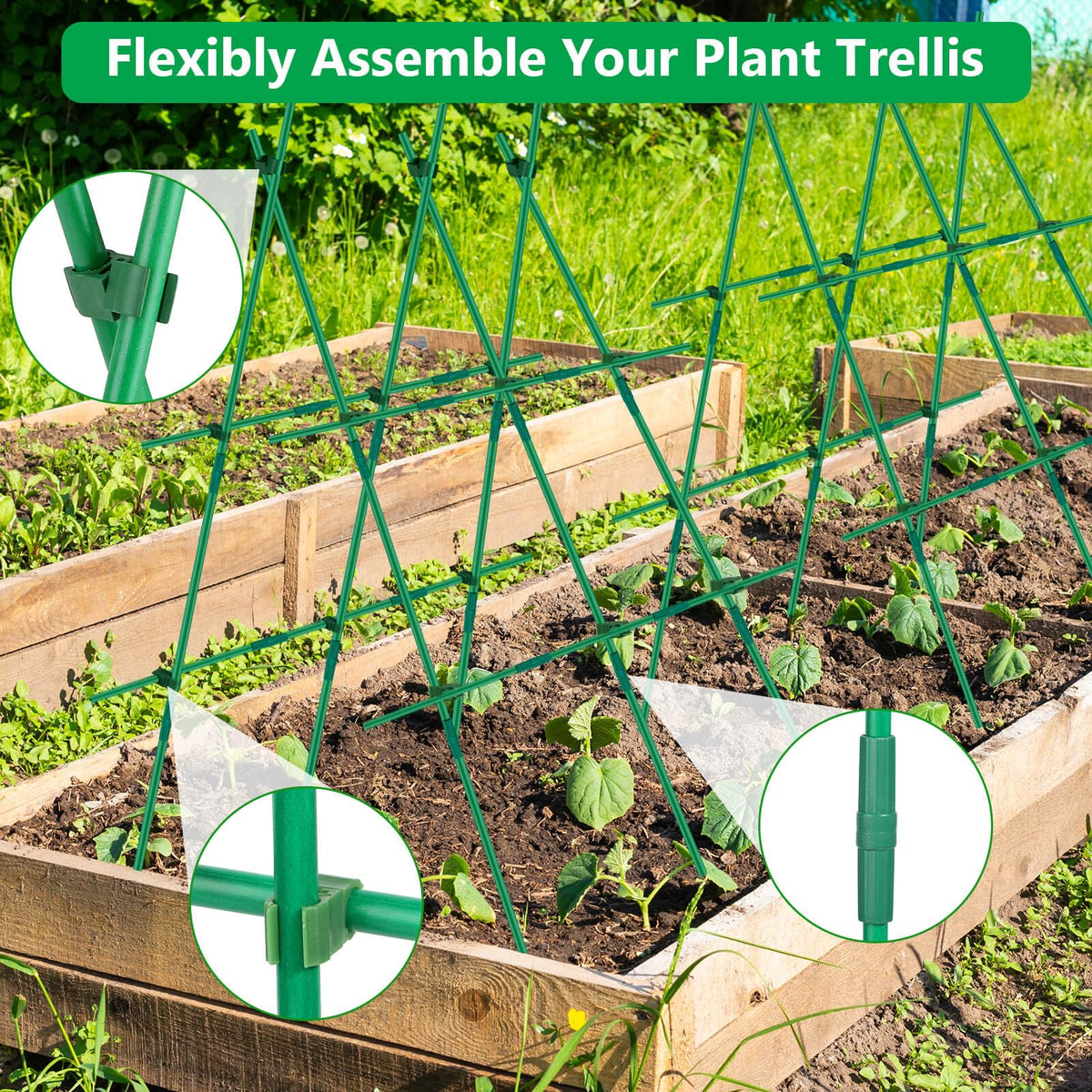 Lezmarket rotatable clips secure stems without damage.