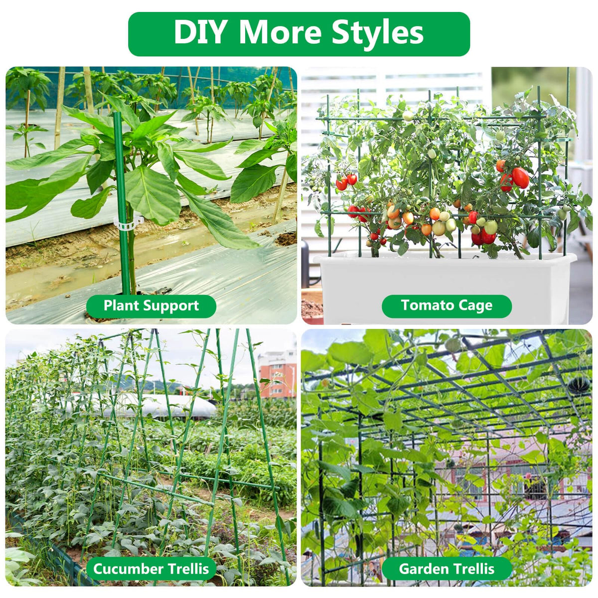 Lezmarket vertical gardening compatibility maximizes space and plant health.
