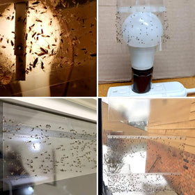 LFSYS residue-free removal keeps windows crystal clear after use.