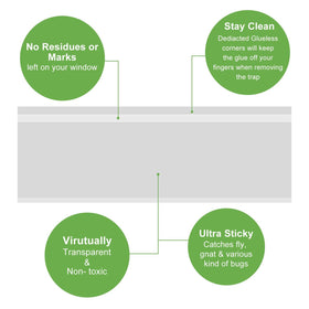 LFSYS clear window trap with glue that catches flies without glare.