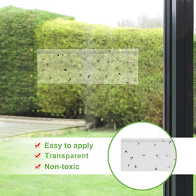 LFSYS disposable window fly traps pack for easy replacement.