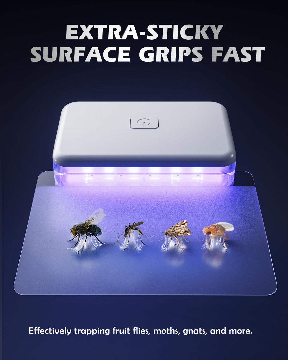 LFSYS 3-pcs kit with 20 refills for continuous protection.