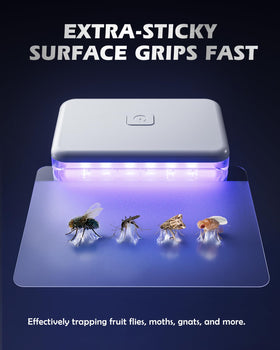 LFSYS 3-pcs kit with 20 refills for continuous protection.
