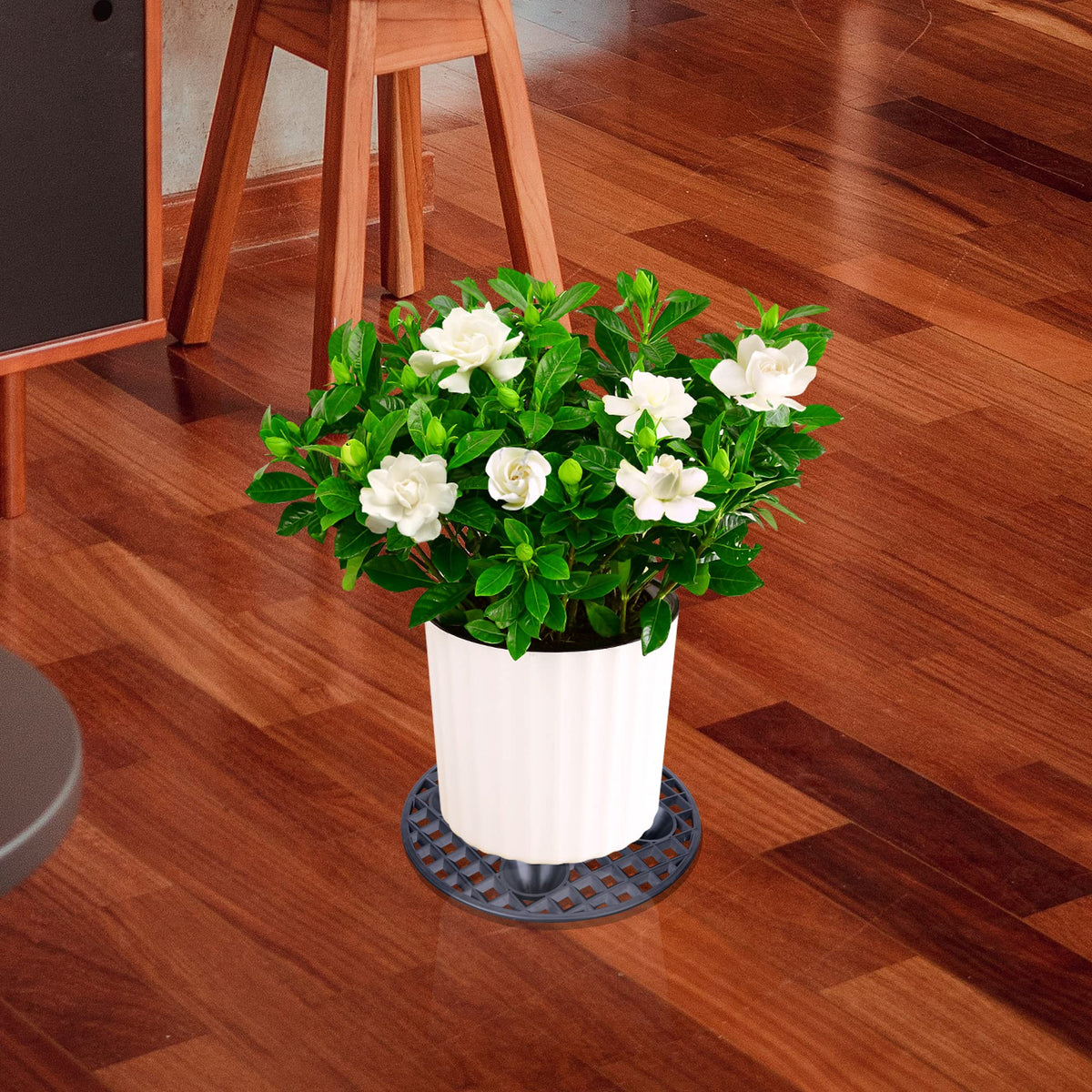 LFUTARI airflow and drainage under pot functionality improves plant health.