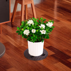 LFUTARI durable surface saver blends with home decor while elevating plants.