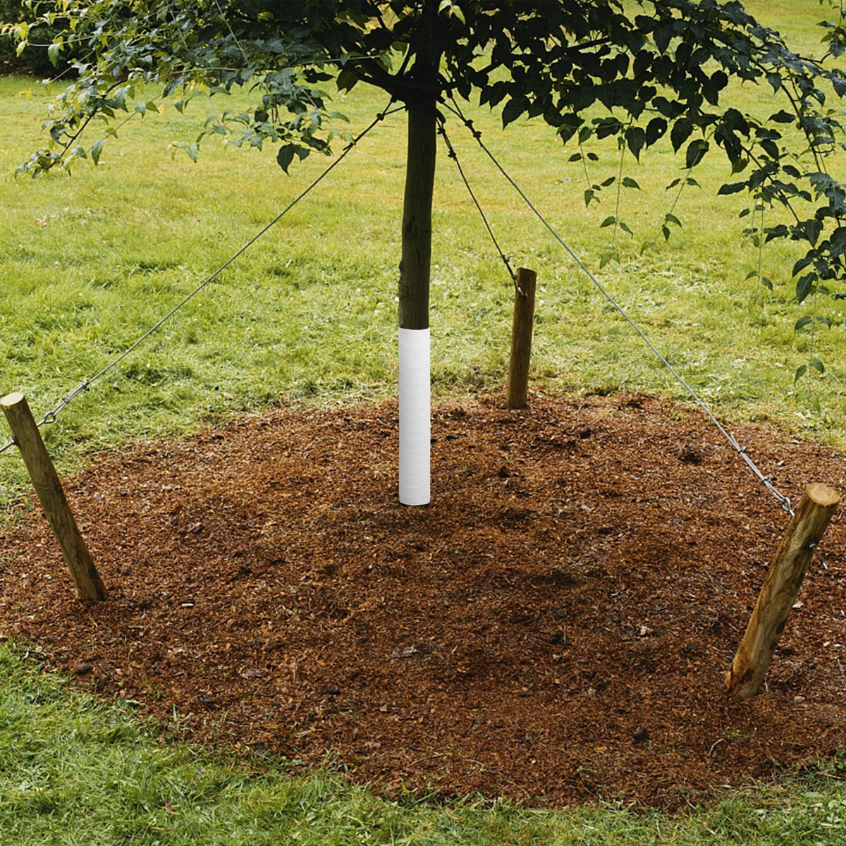 LFUTARI multi-use tree protectors suitable for small trees and garden borders