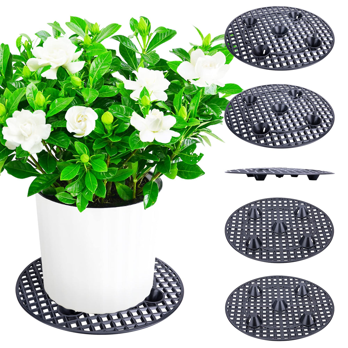 LFUTARI plant level pot elevator top view improves stability for indoor plants.
