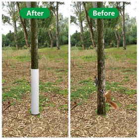 LFUTARI sapling protection tubes installed quickly around a trunk