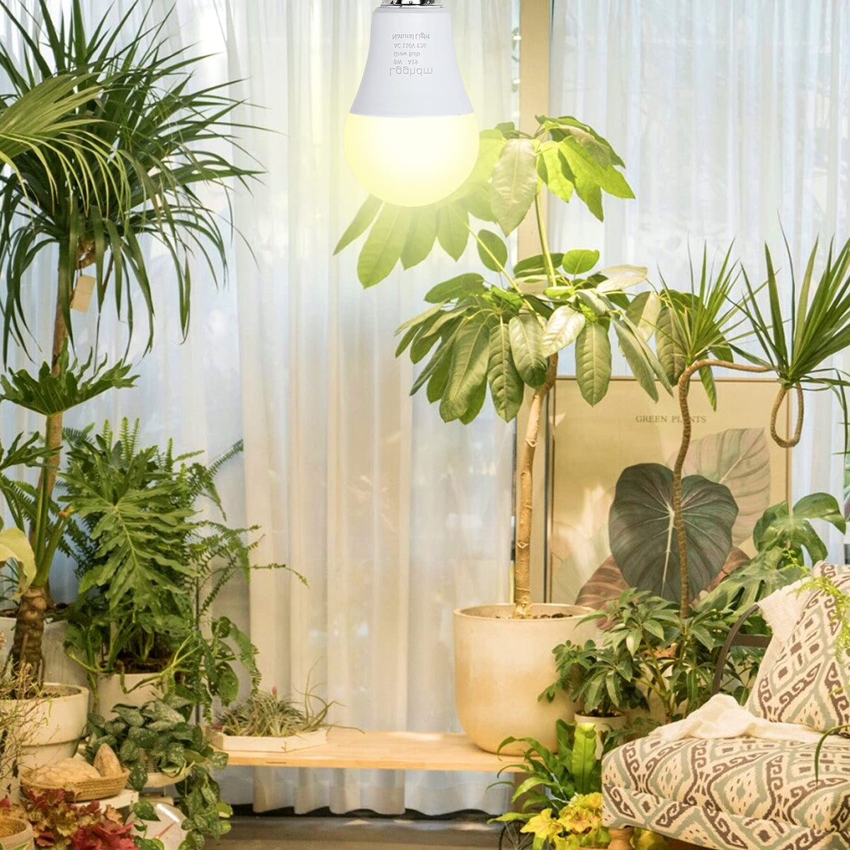 Lgghdm 270-degree beam A19 grow light enables broad coverage for indoor plants