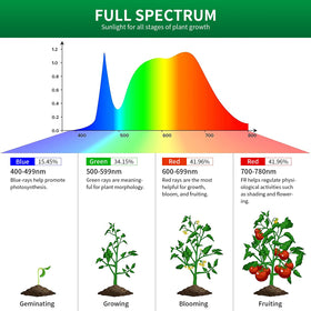 Lgghdm kitchen window garden setup benefits from efficient compact grow light