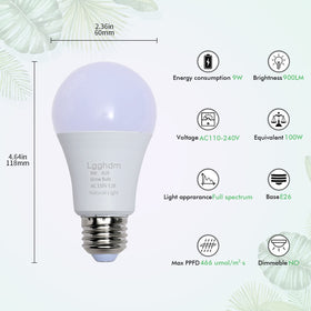 Lgghdm opal-cover LED bulb reduces glare while delivering even light
