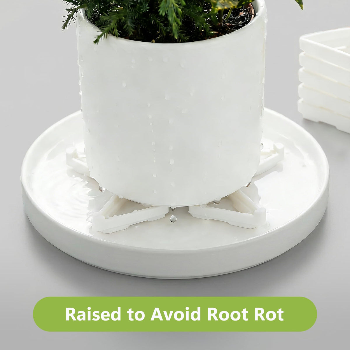 Li & Zhao under-pot feet improve air circulation and drainage.