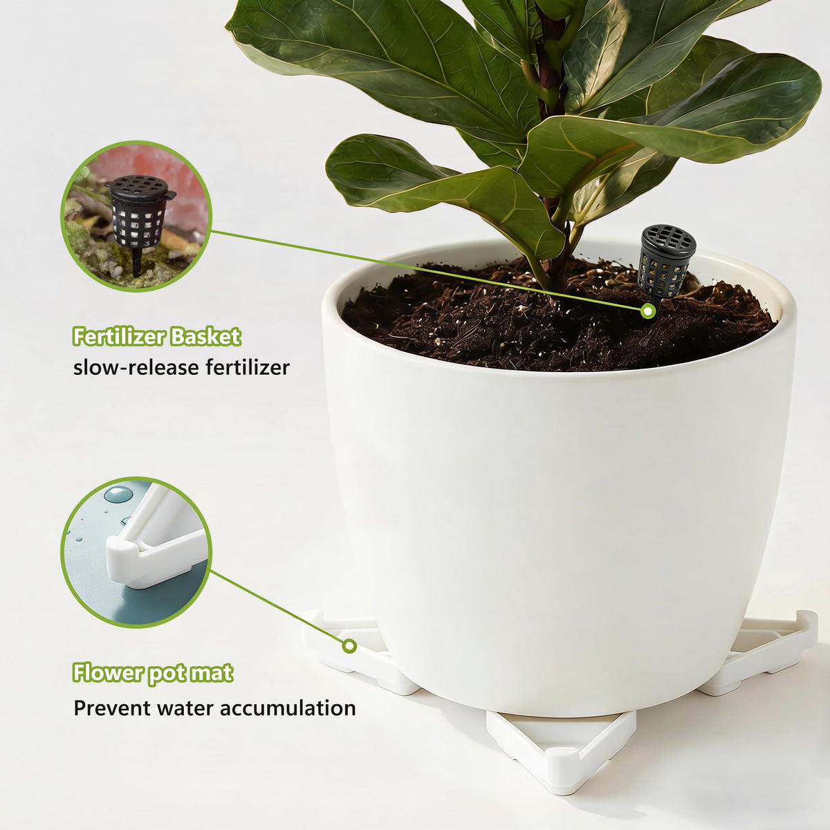 Li & Zhao fertilizer cages enable under-pot slow-release feeding.