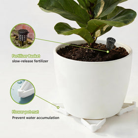 Li & Zhao fertilizer cages enable under-pot slow-release feeding.